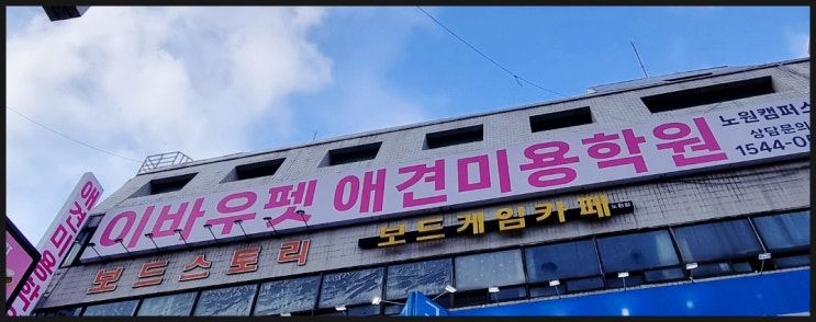  노원 강아지미용학원 6개월 자격증 따고 취업 창업 집중교육