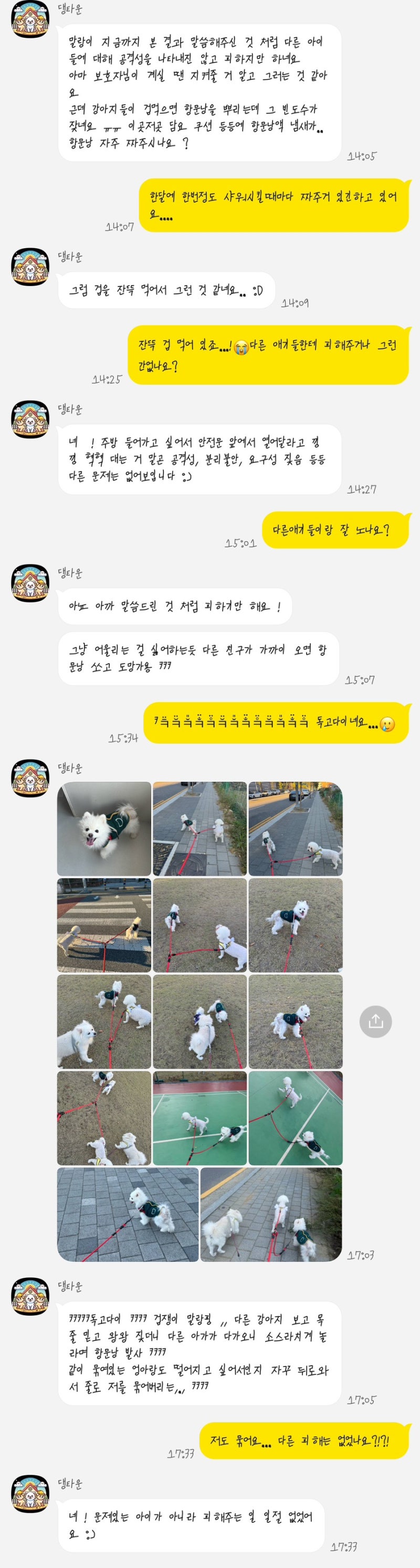 사진 2
