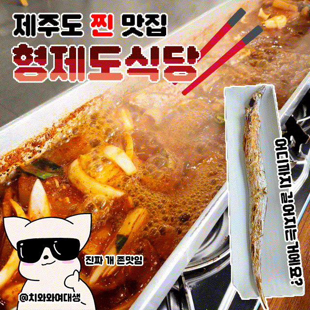  제주도 서귀포 맛집 형제도식당 중문본점 갈치조림 개잘하는 곳