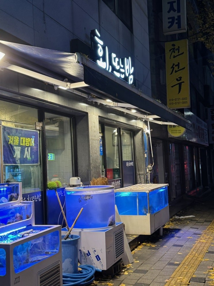  [수원] 권선동 인계동 대방어 회 맛집 회, 뜨는 밤