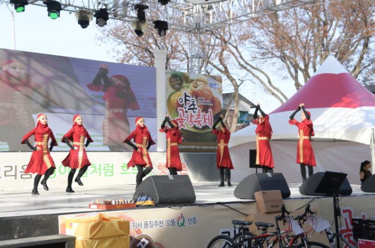  논산 양촌 곶감축제 기본정보 여행 가볼만한곳