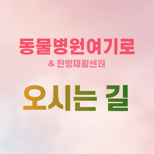  동물병원여기로 오시는 길