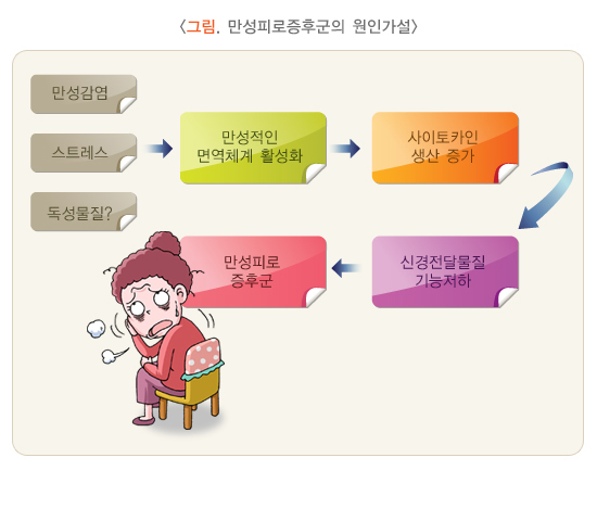  만성 피로, 면역력을 높이는 생활 마사지:선릉마사지 콩콩이네 마사지