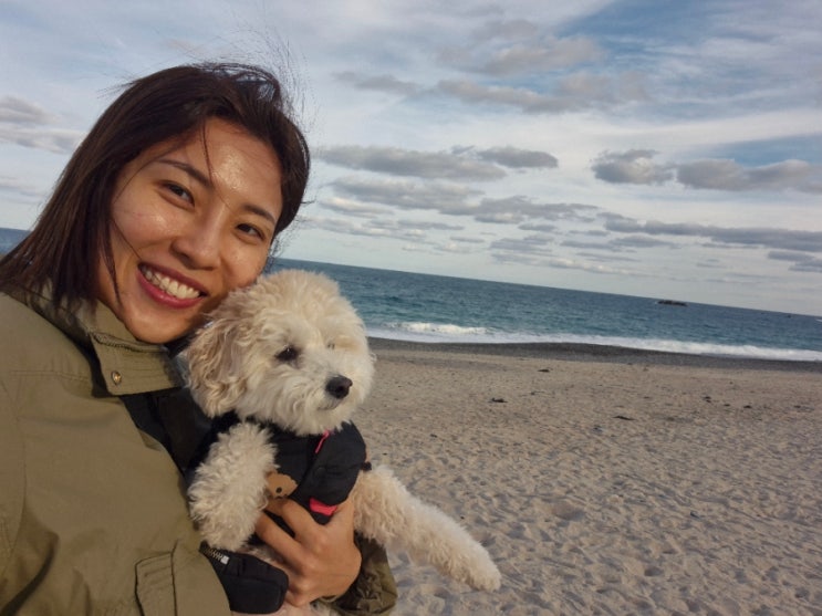  경주 강아지랑 여행 오류고아라해변 (주차장, 샤워실, 캠핑장 정보)