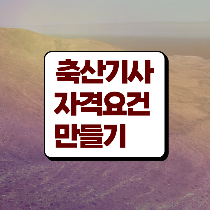  축산기사 축산기사 응시조건 학점은행제로 단기간에 성공한 비법