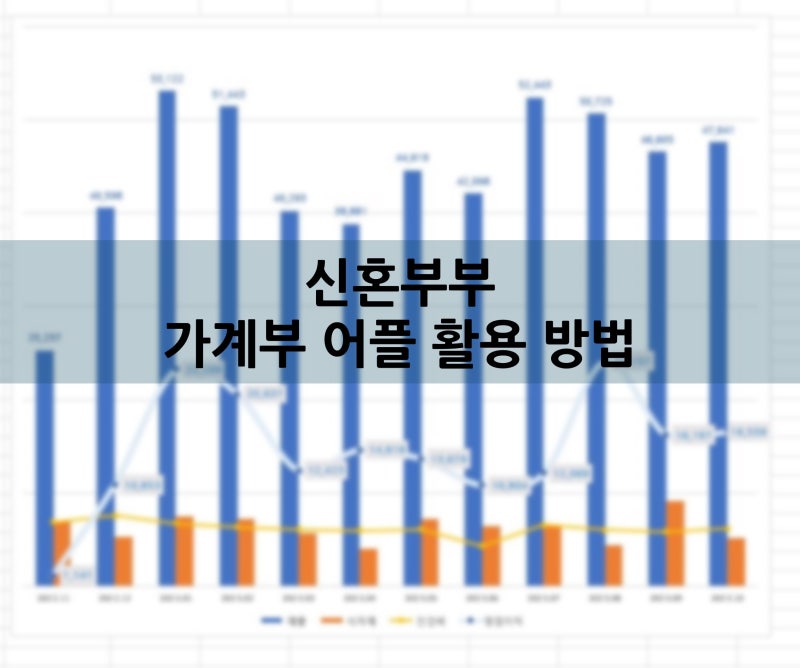 나만의 신혼부부 가계부 어플 활용 방법과 효율적인 엑셀 활용 팁