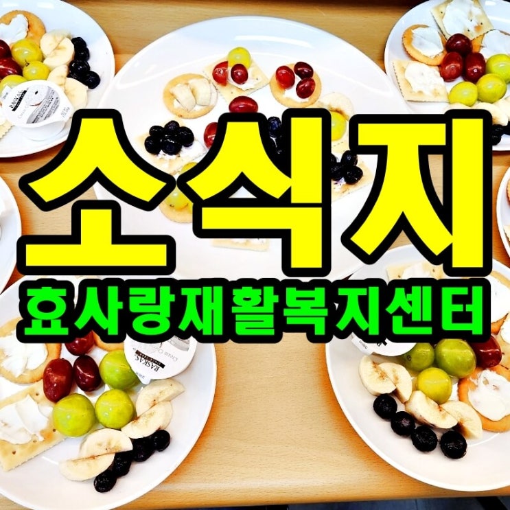  2024년 12월 소식지/프로그램계획표/식단표