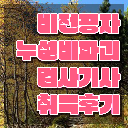  누설비파괴검사기사 누설비파괴검사기사 시험응시자격 온라인 과정으로 간편하게 끝낸 후기