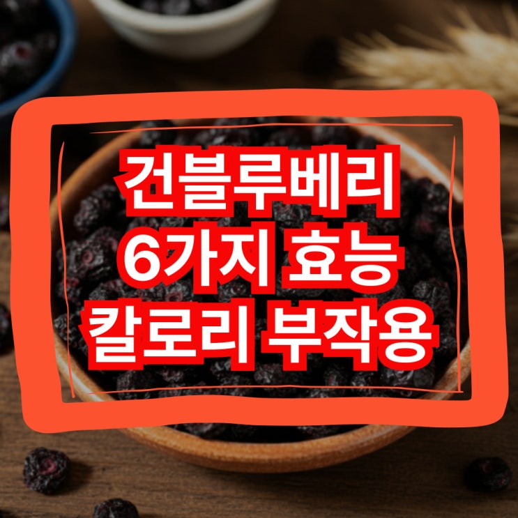  건블루베리 효능 6가지 칼로리 부작용까지 총정리