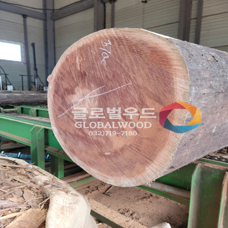  [글로벌우드][제품출고]_경계목 (부켈라)