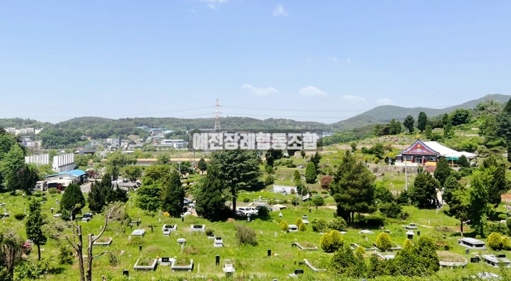  파주 가족묘 납골묘(봉안묘) 매장묘와 자연장 평장묘