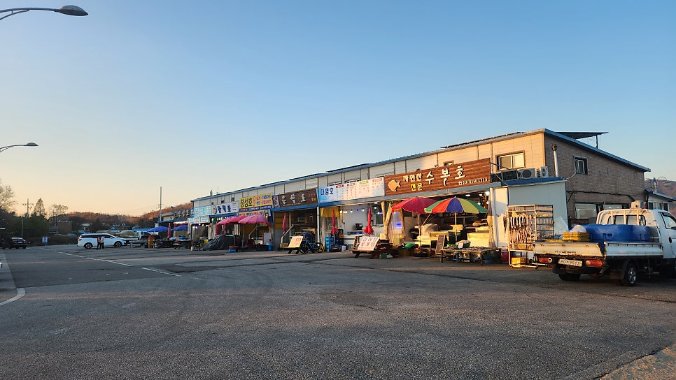 수복호 사진 5