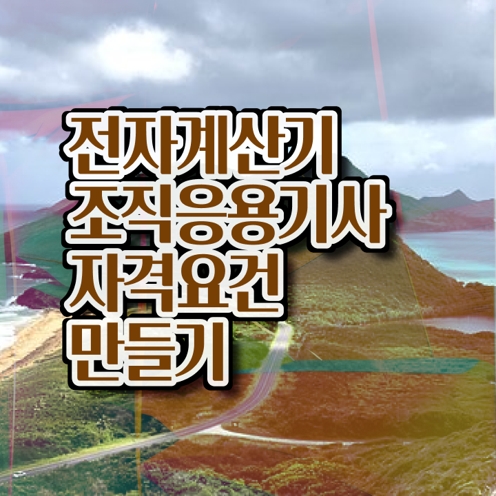  전자계산기조직응용기사 전자계산기조직응용기사 시험응시자격 온라인 과정으로 빠르게 완료한 후기