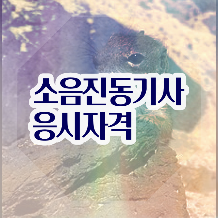  소음진동기사 응시자격확인 소음진동기사 시험응시조건 독학으로 편하게 성공한 팁