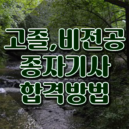  종자기사 준비기간 종자기사 자격요건 집에서 온라인으로 간단하게 준비한 노하우