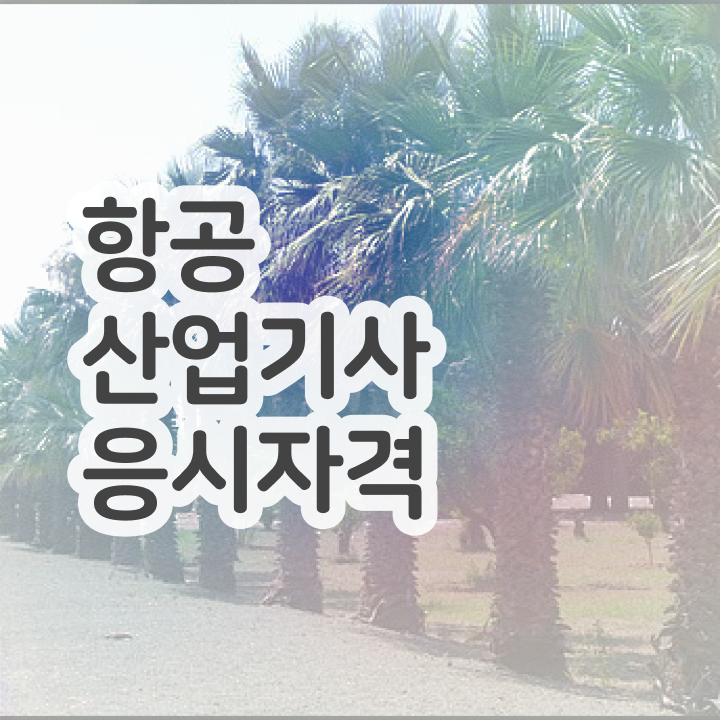  항공산업기사 항공산업기사 취득자격 인강으로 쉽고 빠르게 성공한 과정