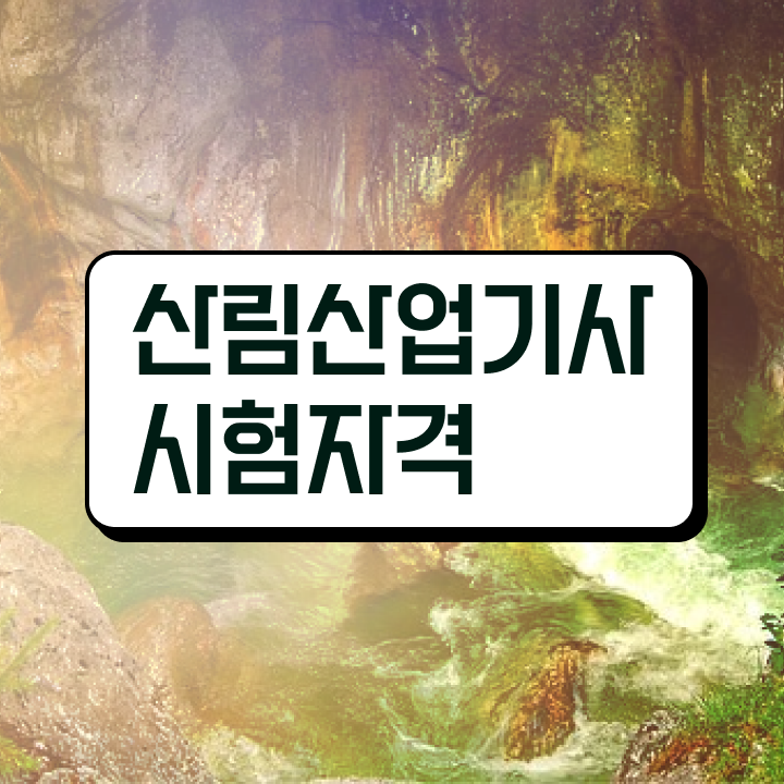  산림산업기사 학점은행제 산림산업기사 시험응시조건 집에서 온라인으로 간편하게 성공한 전략
