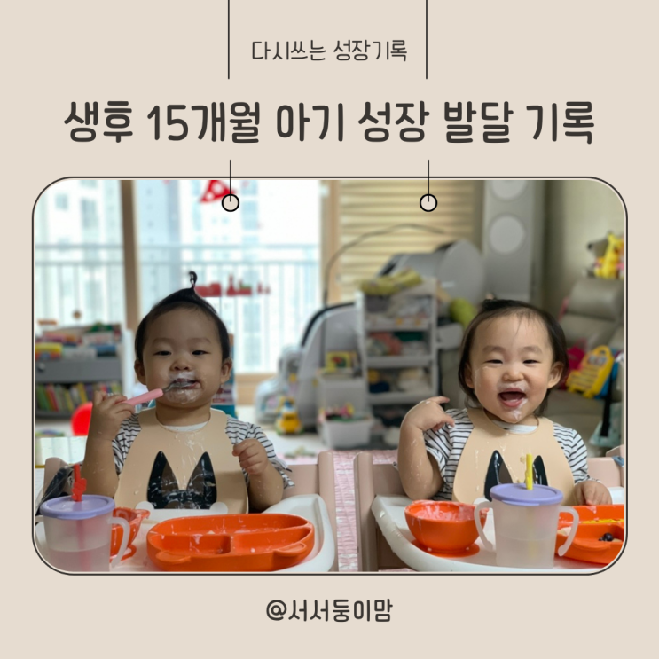  생후 15개월 아기 성장 발달 기록  신체 인지 발달