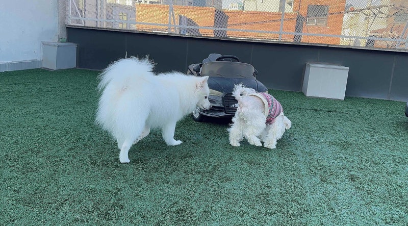 사진 2