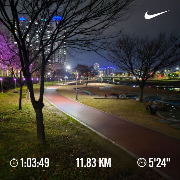 오늘의 [챌린지] 매일 10km 러닝 챌린지 1209일 차