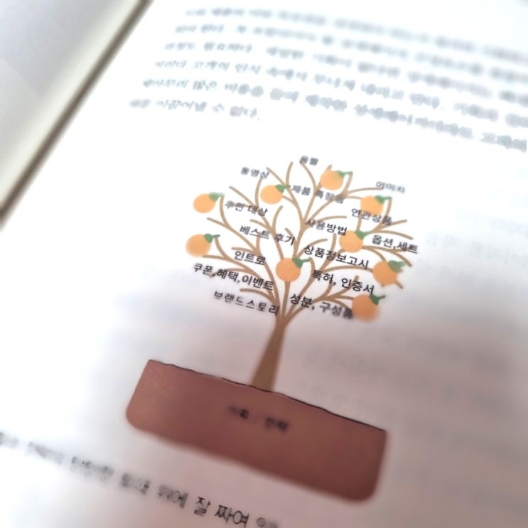  기획된 상세페이지는 실패하지 않는다 AISAS 모델 #올디자인스튜디오 창업일지 사업일지