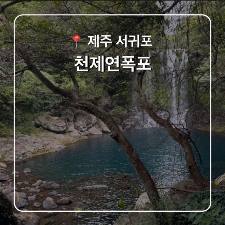  서귀포 가볼만한곳 제주 천제연폭포 소요시간 입장료