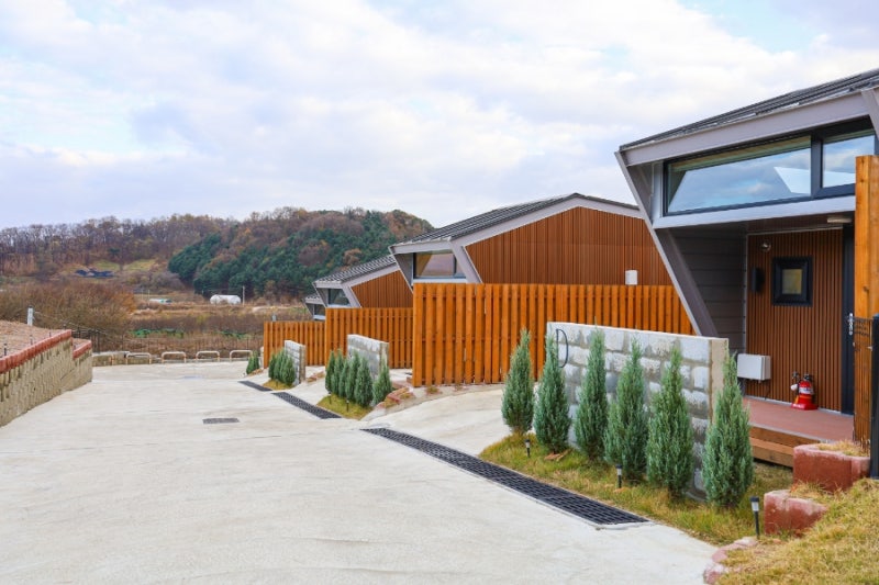 사진 5