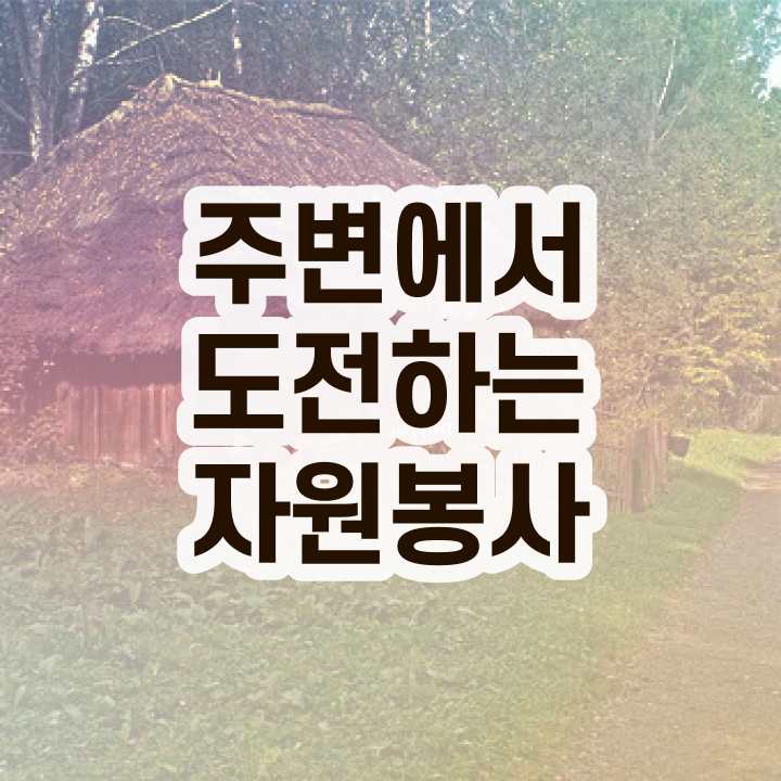  , 자원봉사지도사 자격증 온라인으로 합격한 팁 및 활용 방법