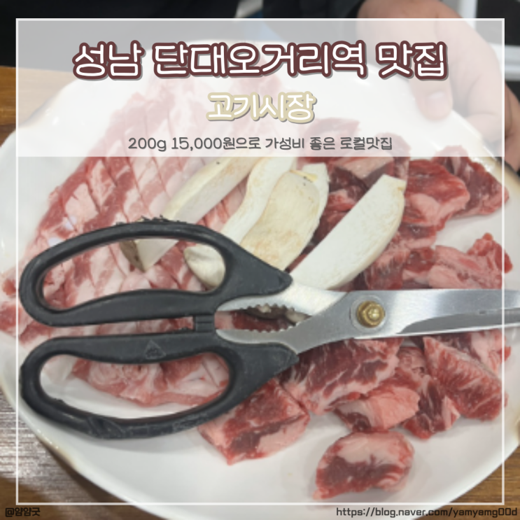  성남 단대오거리역 맛집 가성비좋은 로컬 고깃집 고기시장 후기