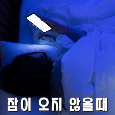 오늘 밤에는 잠을 잘 수 있겠지?
