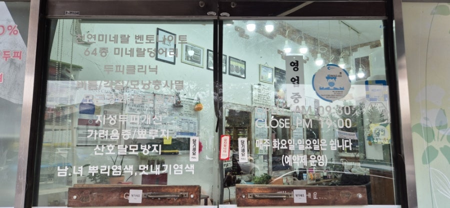 천연머리염색 사진 4