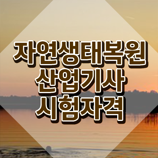  자연생태복원산업기사 시험자격 집에서 온라인으로 빠르게 끝낸 전략