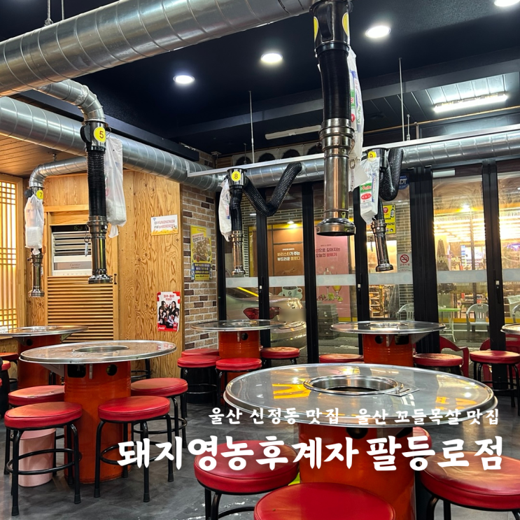  울산 남구 맛집 신정동 회식 돼지영농후계자 꼬들목살 찐맛집
