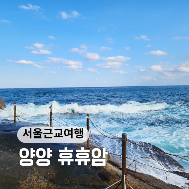  양양 가볼만한곳 ::휴휴암:: 신기한 바위와 자연에 동물농장