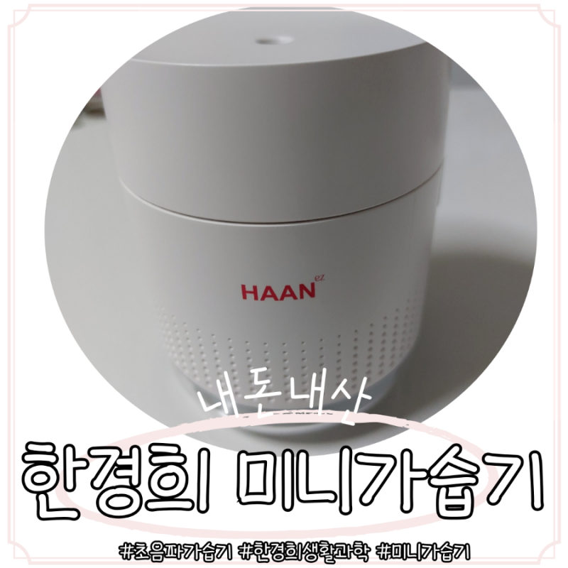 ❄️겨울철❄️ 건조한 목을 위한 가습기 추천 : 한경희생활과학 초음파 무선 미니가습기