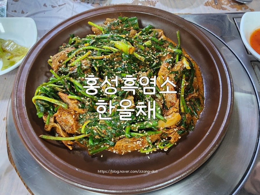 한올채 사진 1