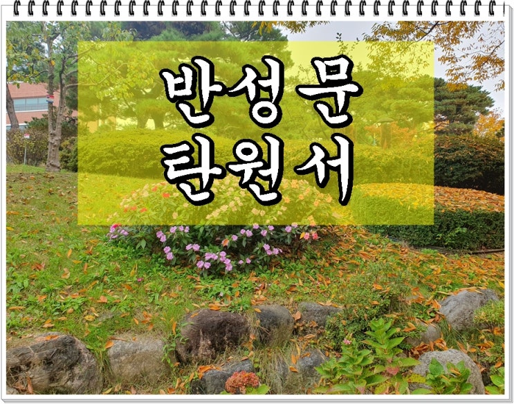  대구반성문 탄원서 전문 행정사 (음주운전 사건 사례)