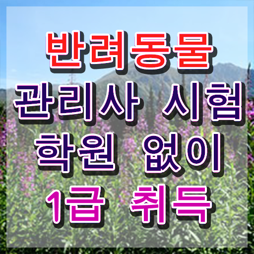  반려동물 생활관리사 , 반려동물관리사 자격증 2주 만에 취득했던 후기 확인하고 가세요