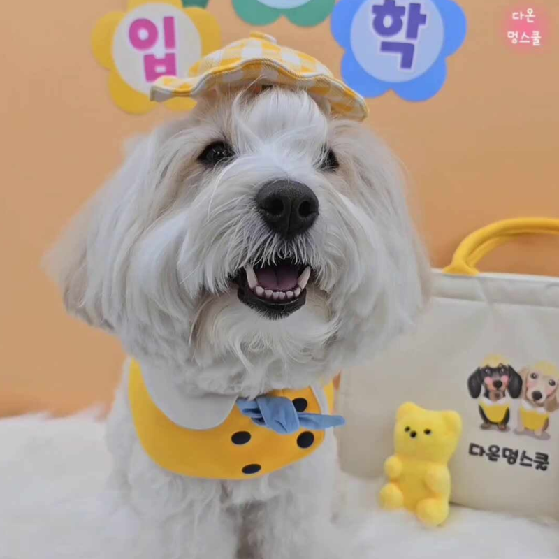 사진 6