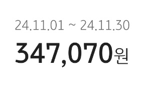  11월 강아지 생활비 총정리, 가계부