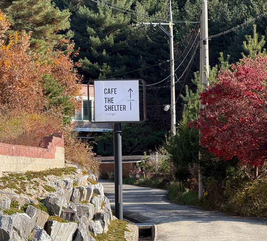 더쉘터 사진 2