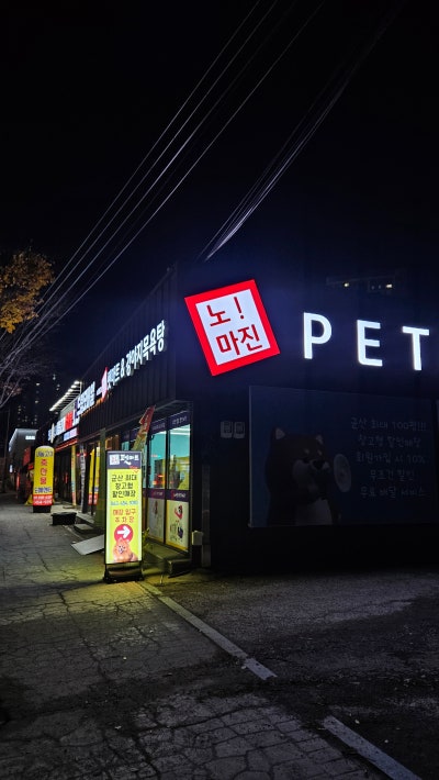사진 5