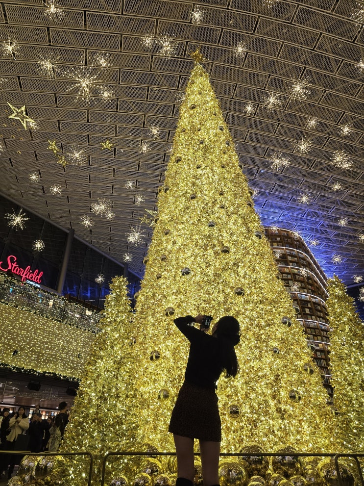  강남 코엑스 별마당도서관 트리 핫플 스타필드 별마당도서관 골드포레스트