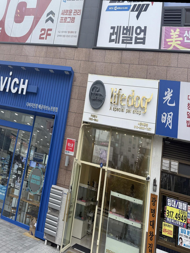  주말에 강아지 가족을 맞이하고 사장님의 세심한 배려에 감동한 라이프독 시흥점