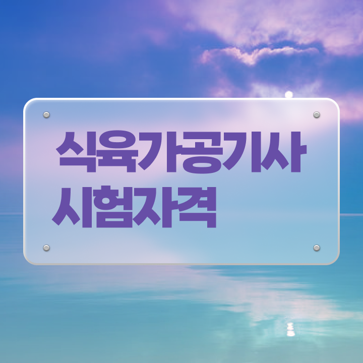  식육가공기사 응시자격 학점은행제로 간편하게 끝낸 과정