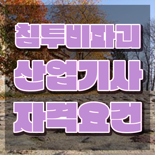  침투비파괴검사산업기사 자격요건 학점은행제로 단기간에 완료한 노하우