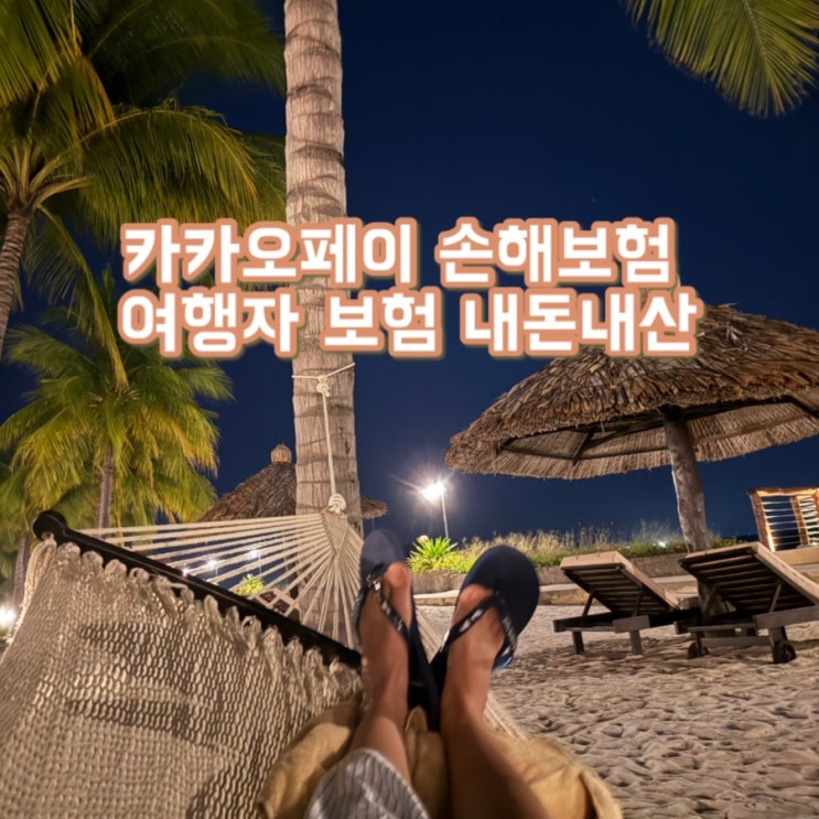 해외여행 준비 카카오페이 손해보험 여행자 보험 내돈내산 후기 | 카카오여행자보험 가입방법 | 함께가입 할인, 재가입할인