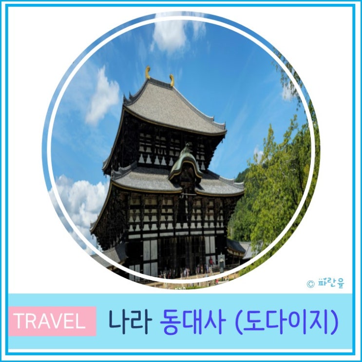  오사카 근교 자유여행 간사이 나라 동대사 도다이지 입장료 및 후기