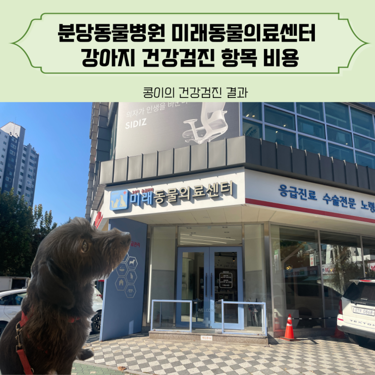 분당동물병원 미래동물의료센터 에디슨 강아지 건강검진 항목 비용
