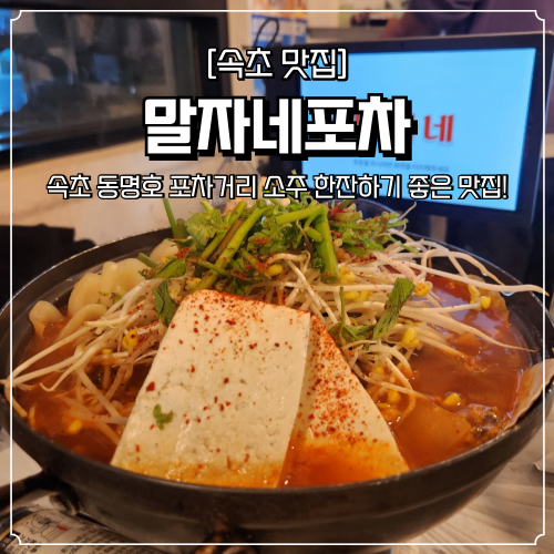  속초 동명항 포차거리 맛집 말자네포차 매운탕 해산물